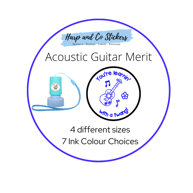 Acoustic Guitar Merit