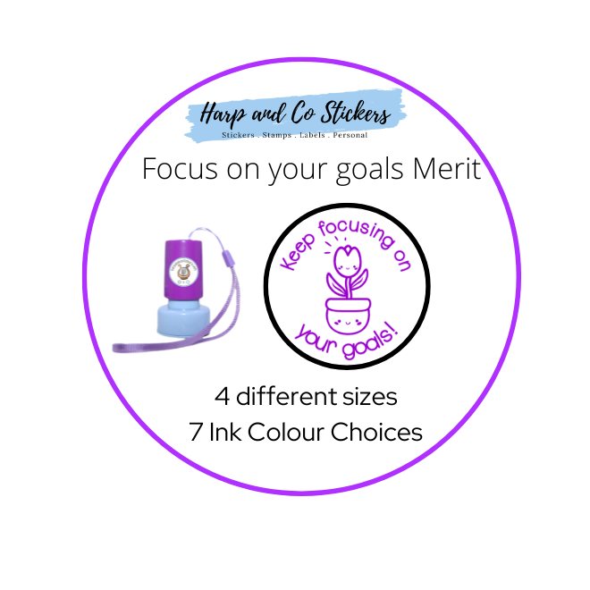 Focus on your goals Merit