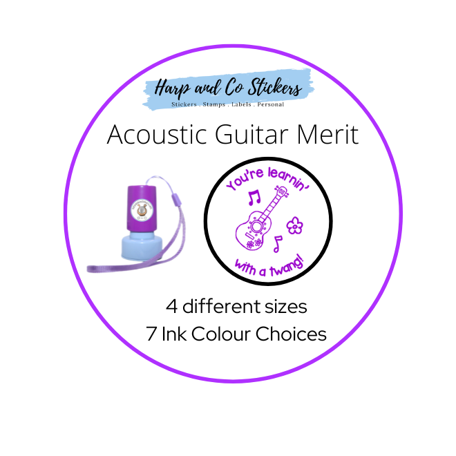 Acoustic Guitar Merit