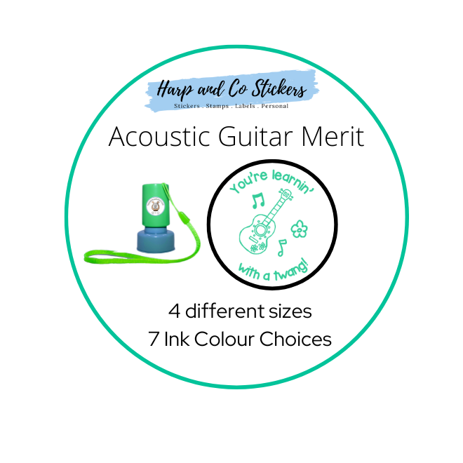 Acoustic Guitar Merit